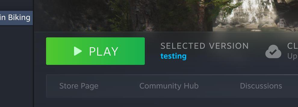 Steam client displays the name of the selected beta branch.